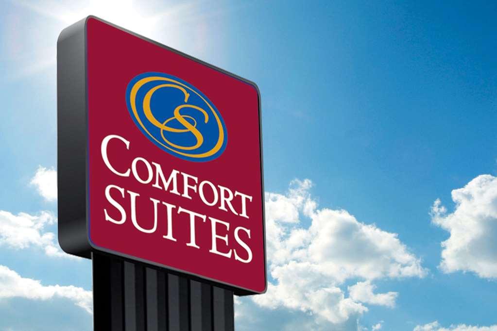 Comfort Suites Fort Myers East I-75 מראה חיצוני תמונה